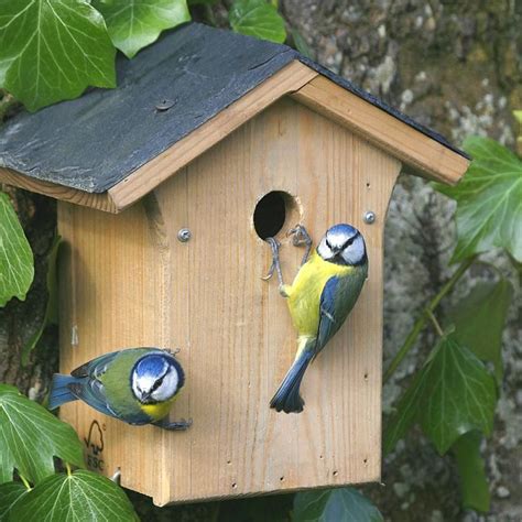 metal nest boxes for birds|best place for nesting boxes.